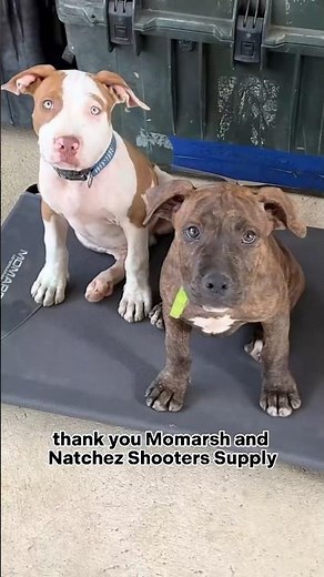 Natchez Shooters Supply