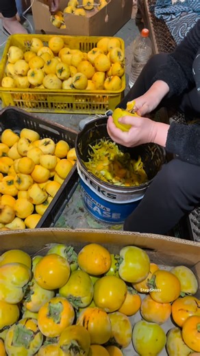 Drying Persimmons 🍊in Megri | Armenia’s Sweet Autumn Tradition | Stepan Grigoryan