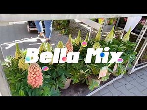 Unique flowers in Germany Vlog