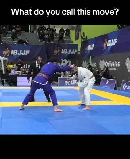 Daily BJJ Techniques and Clips