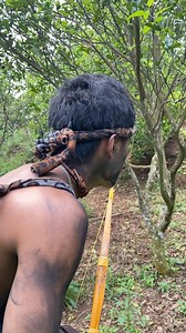 957K views · 5.3K reactions | archery training chaba's | Firman Dudukwee | Facebook