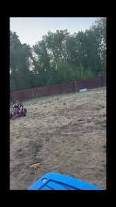 6.1K views · 97 reactions | Send it! | allfails | Facebook