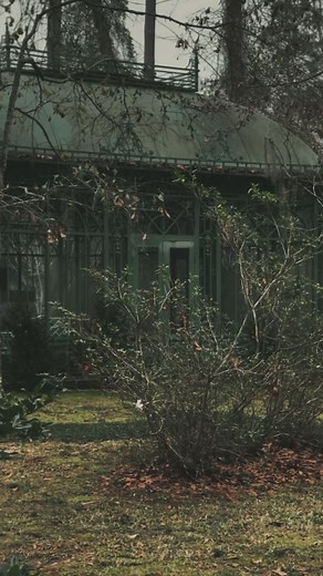 Exploring a Victorian Fairy Forest: Dark Academia Aesthetic