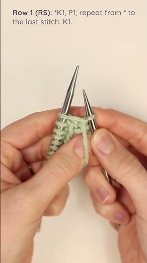 How to Knit the Seed Stitch for Beginners #knittingtutorial #knit #knitting