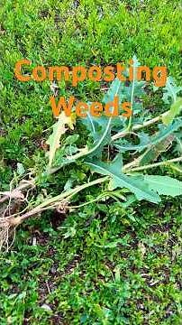 How to compost weeds