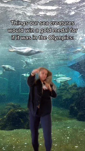 Our sea creatures would be gold medallists 🥇#olympics #olympicspirit #sealifesydneyaquarium