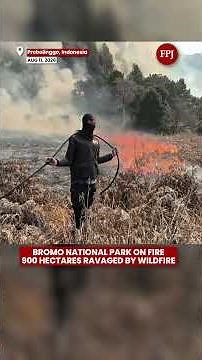 Indonesia Wildfire: 900 Hectares of Bromo National Park Ravaged by Flames