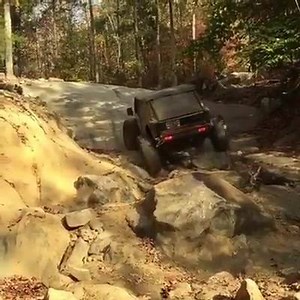 He should of just gave it the jandal on the 2nd attempt | Overlanders Inc.