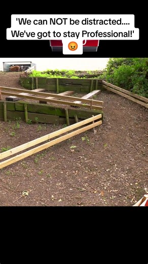 Bear could not give two Fs