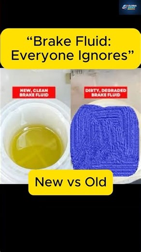 “Brake Fluid: The Maintenance Everyone Ignores”