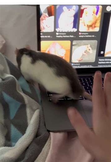 What Happened to My Computer?