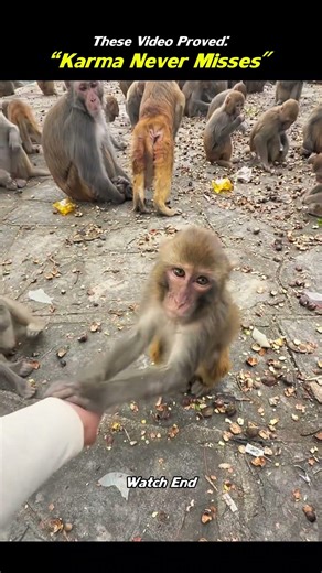 “Kindness Always Comes Back… Watch This ❤️”