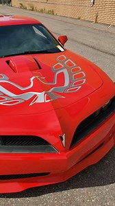 102K views · 3.6K reactions | Screaming Phoenix on the hood, shaker scoop, Pontiac styling, plenty of horsepower and a mean exhaust note! #pontiac #firebird #transam | Unique Classic Cars | Facebook