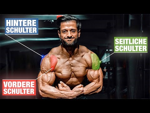 The 5 BEST shoulder exercises YOU must do!
