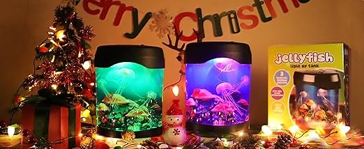 0f4cdc2397a24c25ac0792f143566759