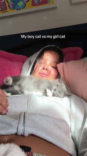 Puka hates George…how do I get my cat to like the kitten? INSPO amberlyburnsred #cat #fyp #pets