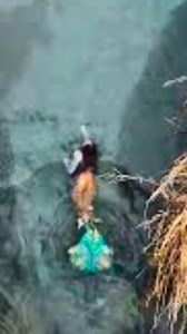 Alien Mermaid Recently Discovered in the Amazon! #alien #mermaid #amazon | Most Amazing Top 10