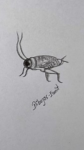 Dibujos de Insectos Fáciles para Principiantes” 🦟 | Dibujos Esmit