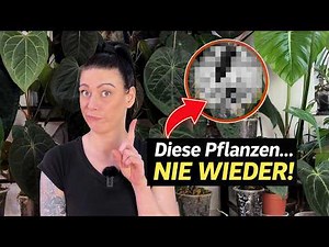10 Zimmerpflanzen die ich NIE WIEDER kaufen würde! 💸😡