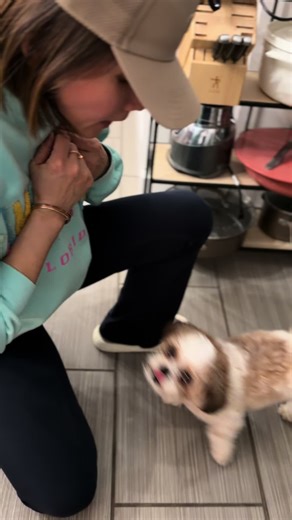 Good morning everyone!!!#dogsoftiktok🐶🐶🐶❤️❤️❤️🙏🙏🙏 #cutedog #shihtzu