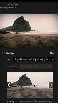 How to color grade with Vignette fx in Adobe Premiere Pro