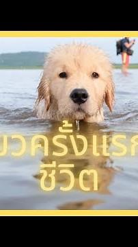 Taking Jum Meng on a trip for the first time in her life