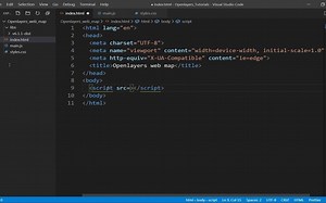 Openlayers 6 教程 #2 -设置环境