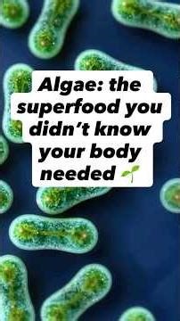 Algae & Human Health: The Nutrient Powerhouse🧪✨ #algae #climateaction #science