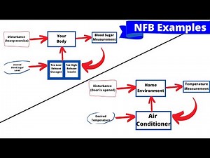 A Brief Explanation of Negative Feedback