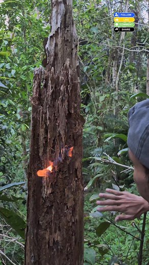 Jangan bengong disekitarmu pasti ada, saya menemukan barang di tunggul yang mengeluarkan api | Tedi Setiadi