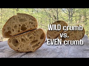 WILD CRUMB or EVEN CRUMB: How to get them. | By JoyRideCoffw