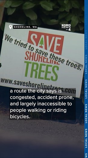 A major redesign of a roadway will create a more walkable route for people to reach light rail in Shoreline, but it comes at the expense of hundreds of trees. Huge Douglas firs, big leaf maples, and red cedars got caught in a collision course with the project and protesters showed up as crews began chopping them down on Thursday. The first of 317 trees began being cleared Thursday morning along North 145th Street near Interstate 5, and the removal is expected to continue into the weekend. Protes