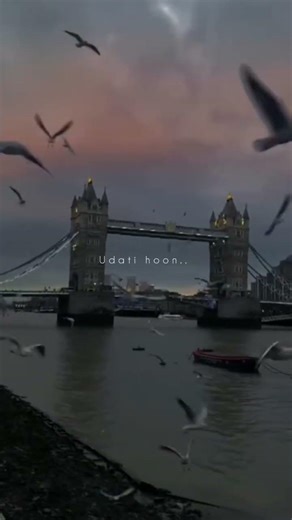 🥺💞 jawa ke jese chalta hai too.. me bhi rate jaise udati hoon... lyrics short..