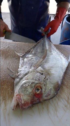 Diamond Trevally Butchering Made SIMPLE – Start to Finish in Minutes!