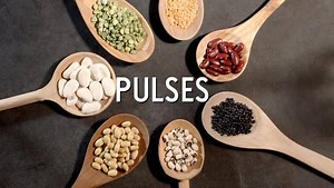 Heard of #pulses? Sustainable, easy-to-prepare, and delicious, these edible little seeds are taking the world by storm. Learn More: http://bit.ly/24CxeGT Recipe Ideas: http://bit.ly/1p0apgo | Whole Foods Market