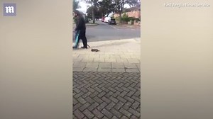 Video footage shows cruel dog owner dragging puppy along pavement