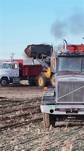 Farming and Livestock Practices in Colorado