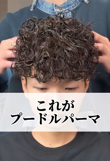 これがプードルパーマ #プードル美容師 #プードルパーマ #心斎橋美容室 #fyp