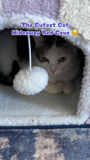 Essential Cat Cave Bed for Spring Comfort