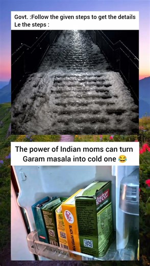 Garam masala or Hot spice 😂 #memes #funny #shortfeed