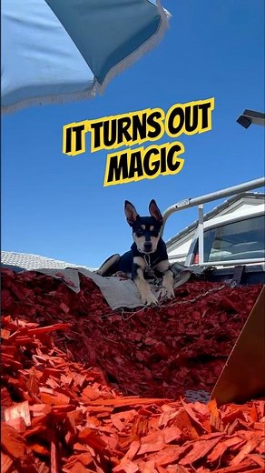 Little Red Mulch Refresher…