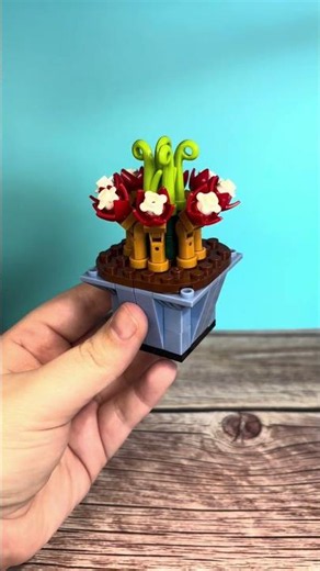Block Tech Block Succulents Desert Rose Showcase