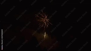 Explosions of color and light illuminate the night sky as fireworks burst over a crowd watching and taking pictures with their phones. People in silhouette gathered to enjoy a bonfire and pyrotechnics
