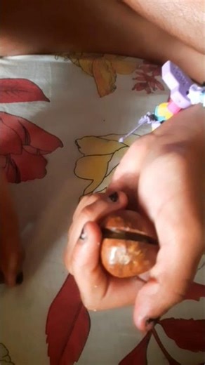 How to open MACADAMIA NUT with key ? #shorts #healthyfood