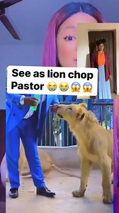 2M views · 14K reactions | Lion don use pastor do miracle for kogi state  | Funky Sandra | Facebook