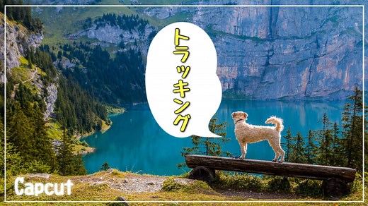 【CapCut】トラッキングを使った顔隠し(モザイク・スタンプ)のやり方