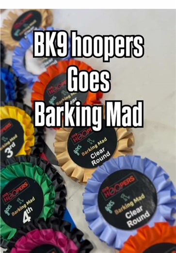 Our first BK9 hoopers show🐾 #dog #dogs #dogsports #sportsdog #barkingmad