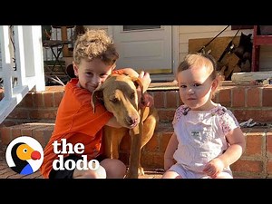 Stray Puppy Appears On Family's Doorstep | The Dodo