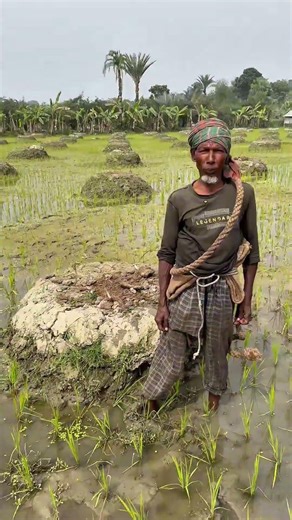 Two types of farming together#agriculture #farmer