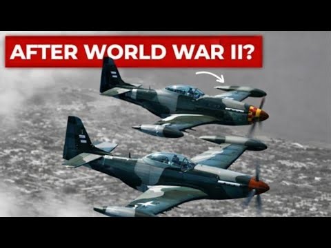 Where Did the P-51 Mustang Go After WW2?